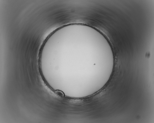 X0000110691135200907021927