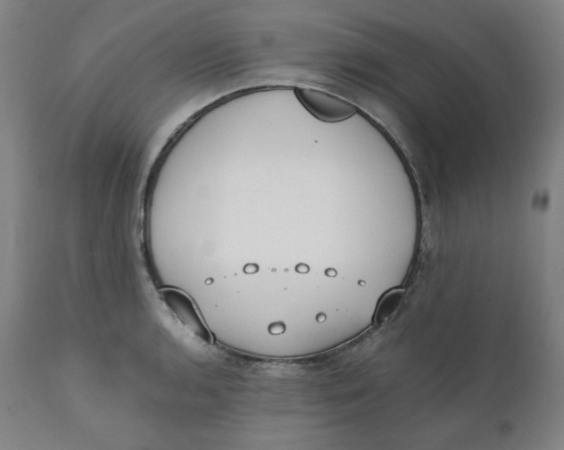 X0000110691136200907021927