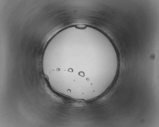 X0000110691137200907021927