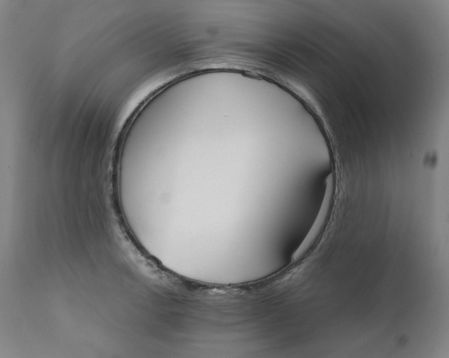 X0000110691138200907021927