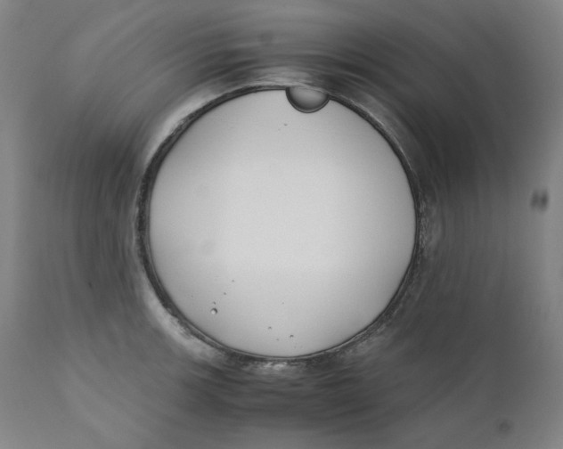 X0000110691139200907021927