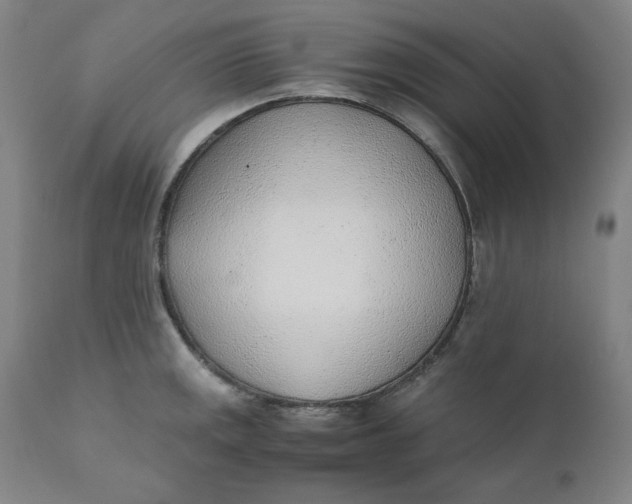 X0000110691141200907021927