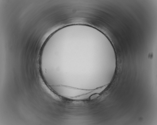 X0000110691142200907021927