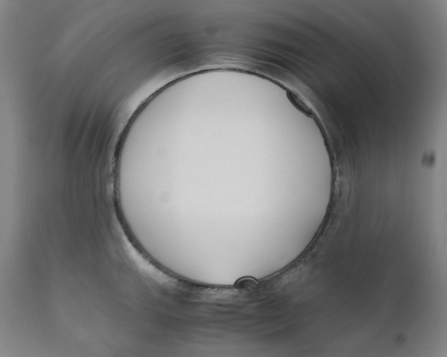 X0000110691143200907021927