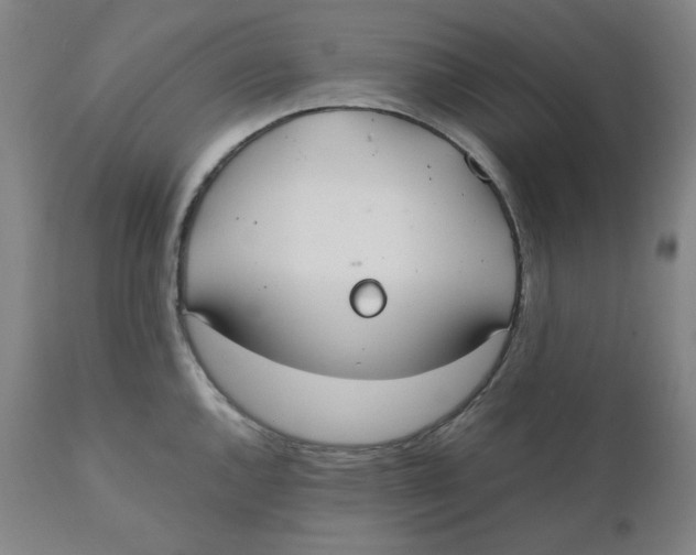 X0000110691144200907021927