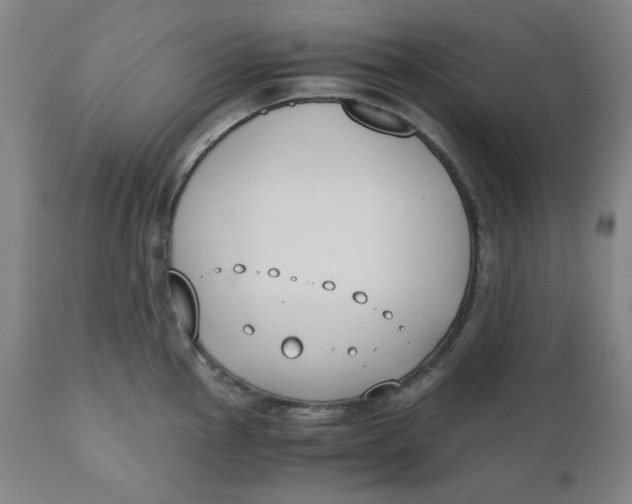 X0000110691145200907021927