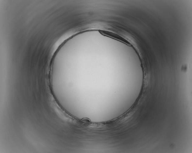 X0000110691146200907021927