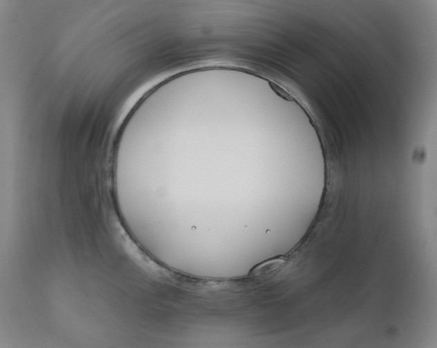 X0000110691148200907021927