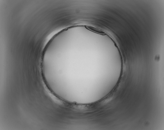 X0000110691149200907021927