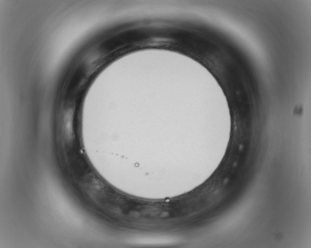 X0000110691150200907021927