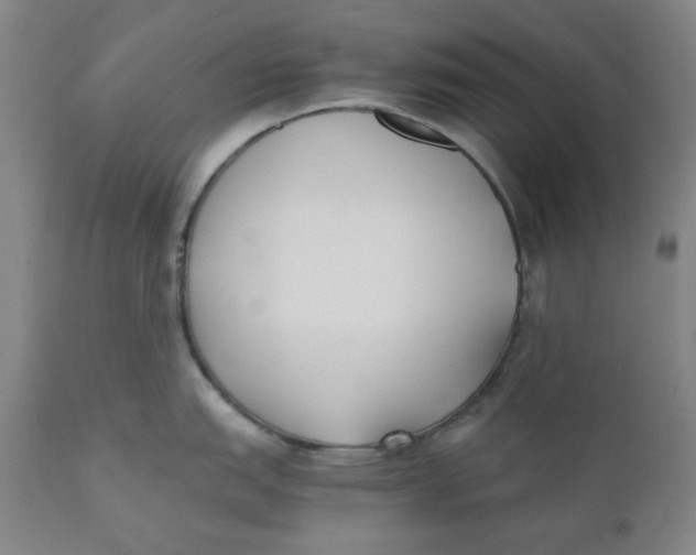 X0000110691151200907021927