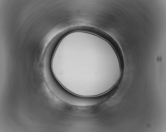 X0000110691152200907021927