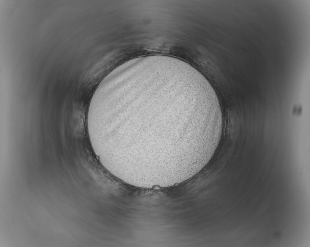 X0000110691154200907021927