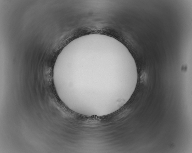 X0000110691156200907021927