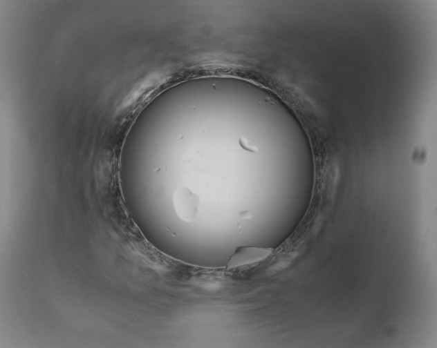 X0000110691157200907021927