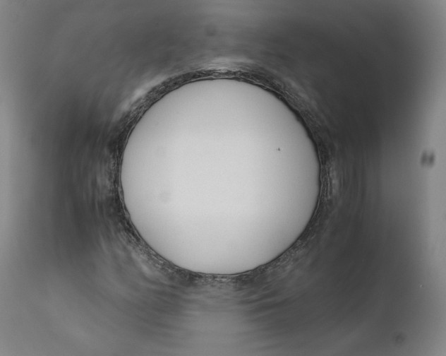 X0000110691158200907021927