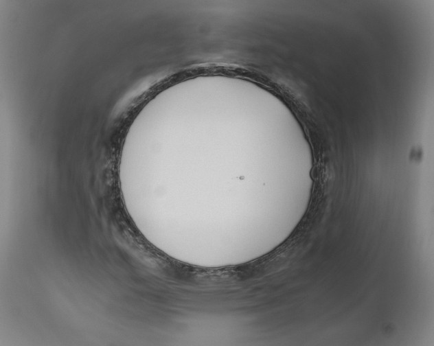 X0000110691159200907021927