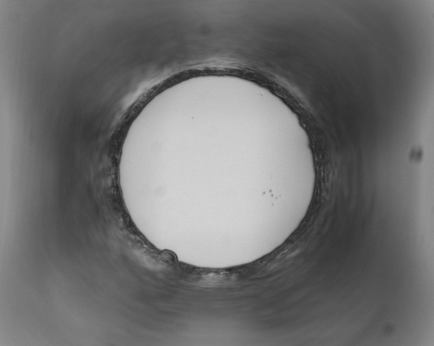 X0000110691160200907021927