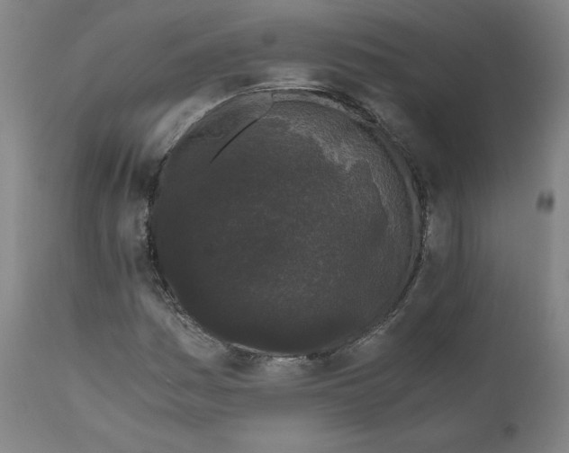 X0000110691161200907021927