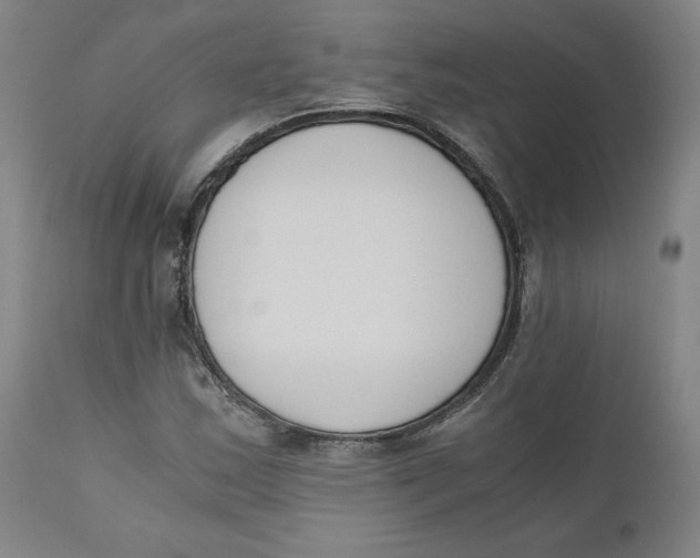 X0000110691163200907021927