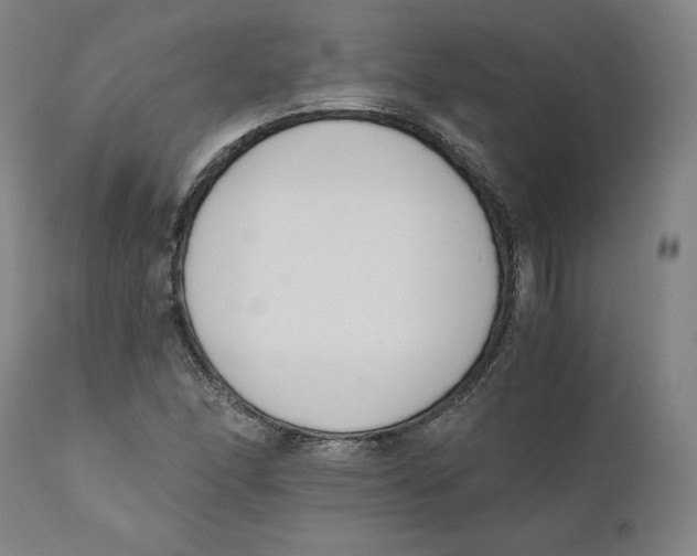 X0000110691166200907021926