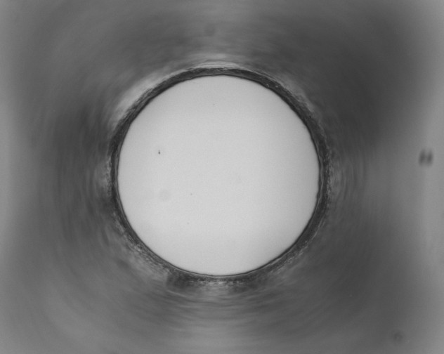 X0000110691167200907021926