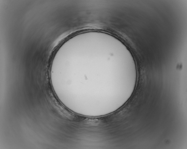 X0000110691168200907021926