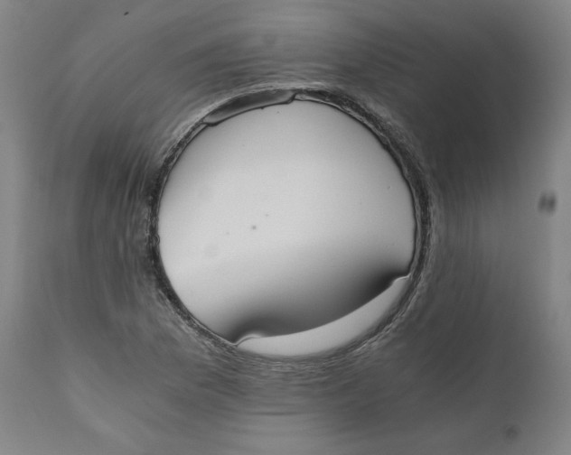 X0000110691169200907021926