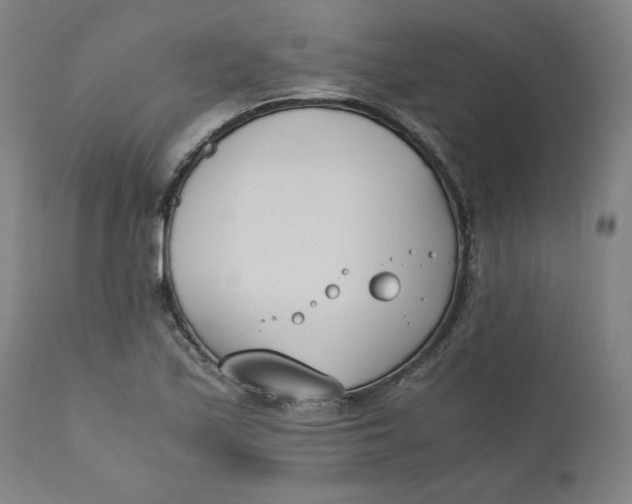 X0000110691171200907021926