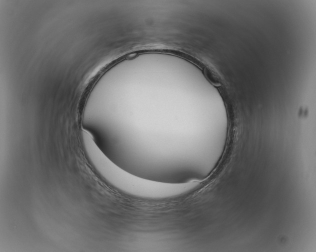 X0000110691173200907021926