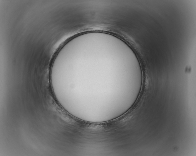 X0000110691174200907021926