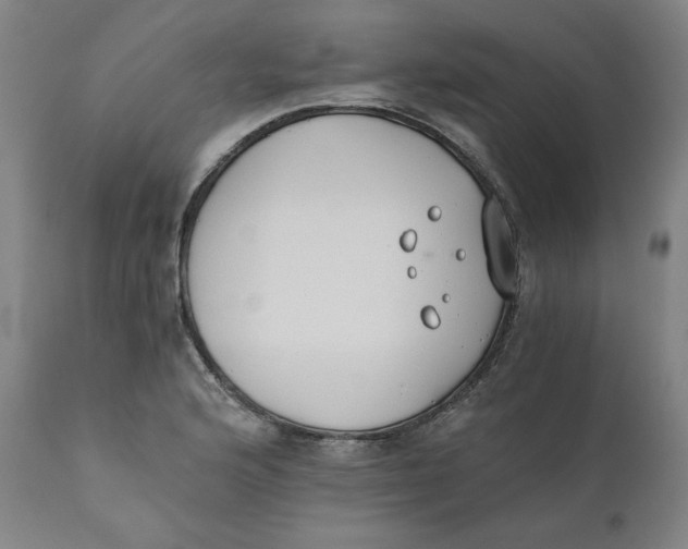 X0000110691176200907021926