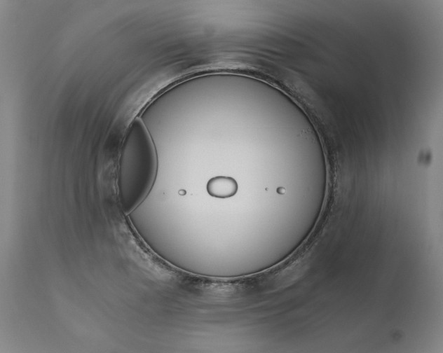 X0000110691177200907021926