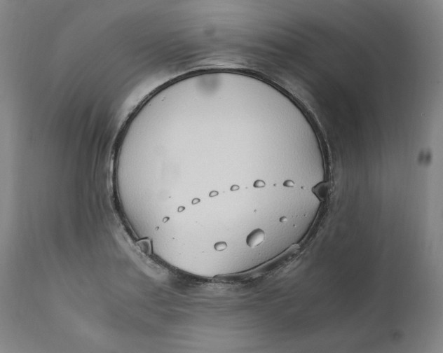 X0000110691179200907021926