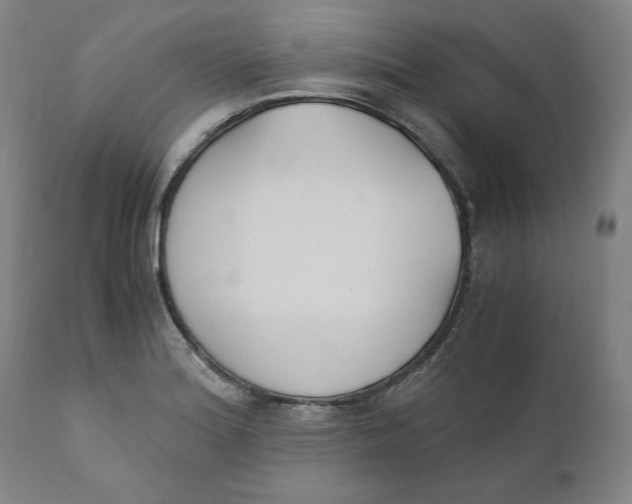 X0000110691180200907021926