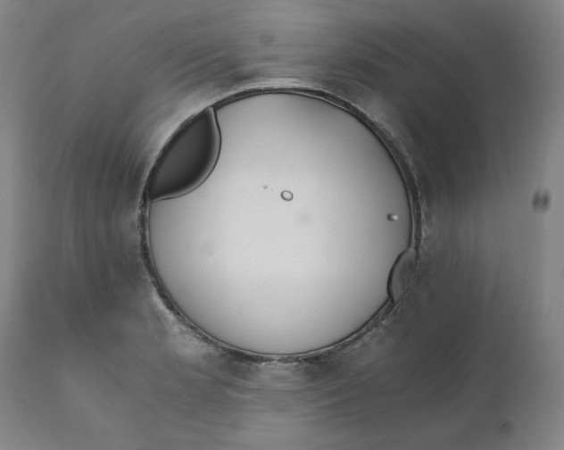 X0000110691181200907021926