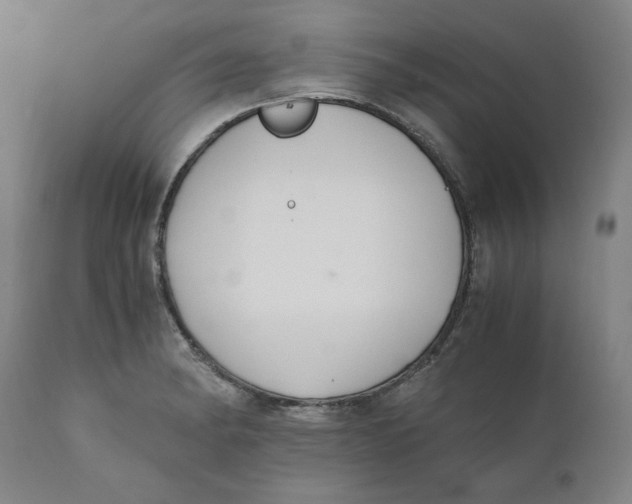 X0000110691182200907021926