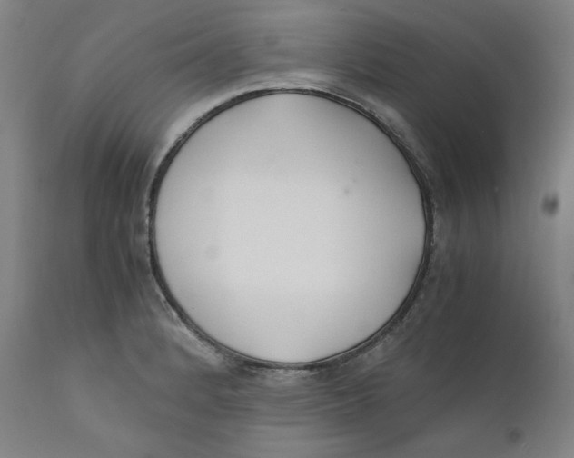 X0000110691184200907021926