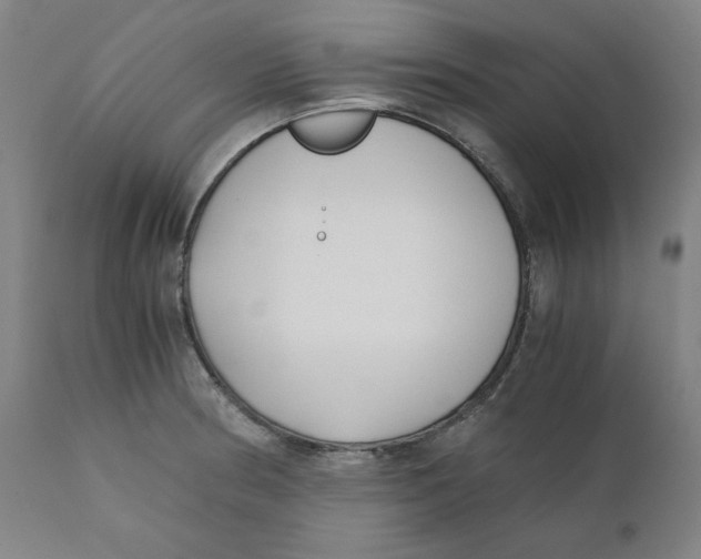 X0000110691186200907021926