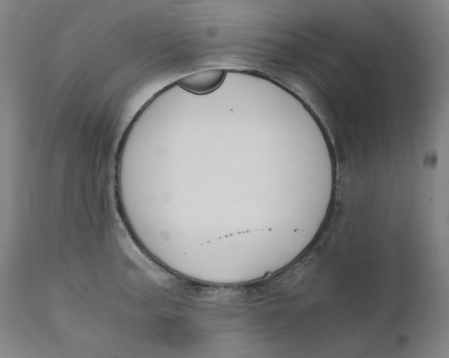 X0000110691187200907021926