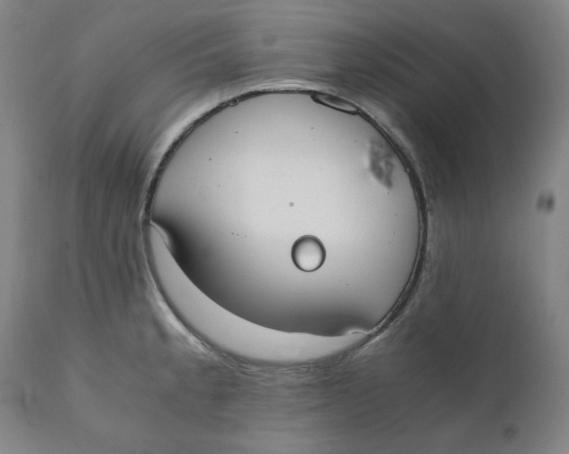 X0000110691189200907021926