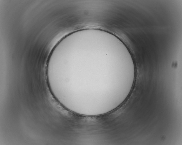 X0000110691190200907021926