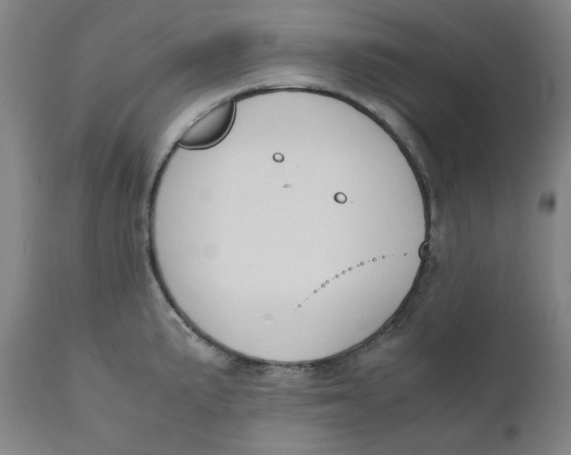 X0000110691191200907021926