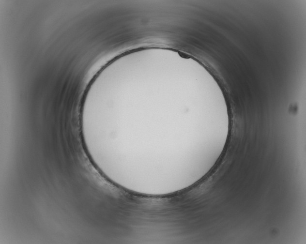 X0000110691192200907021926