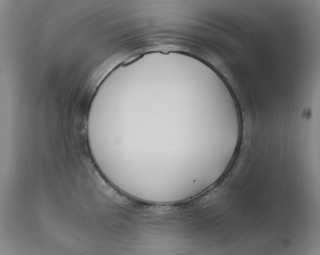 X0000110691193200907021926