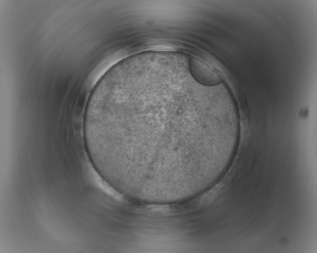 X0000110691194200907021926