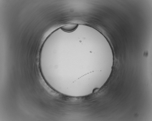 X0000110691195200907021926