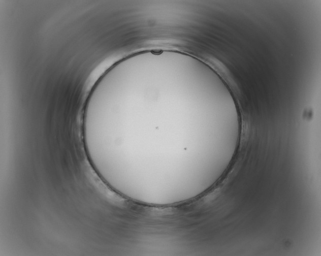 X0000110691196200907021926