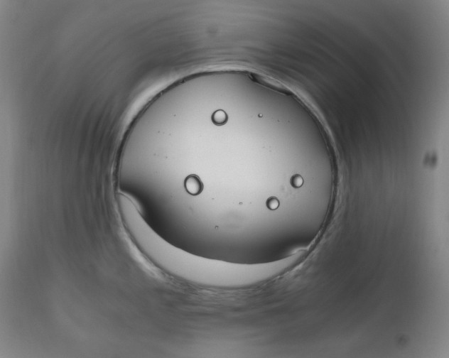 X0000110691197200907021926