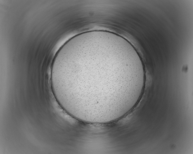 X0000110691198200907021926